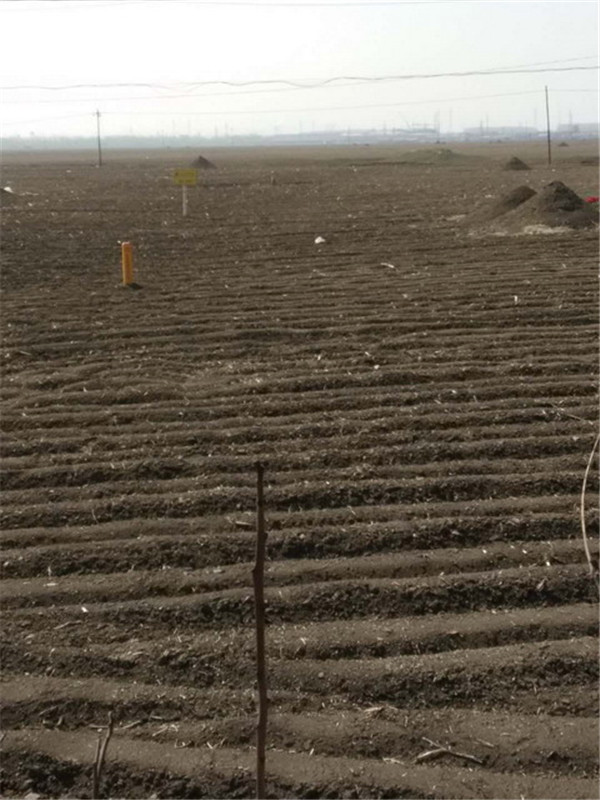 Փ�����Ϲܵ����o����