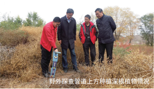 ���ֲ���ϵ���ܵ������Ӻ��\�SӰ��о�����