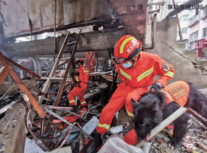 �������̼�ȡ�¹ʽ�Ӗ �ӏ�ȼ���ИI(y��)��ȫ���ν��O