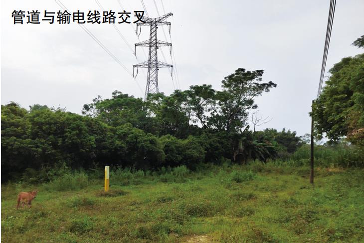 ����ݔ늾�(xi��n)·���͚�ܵ���늴�Ӱ푼���ֵ����