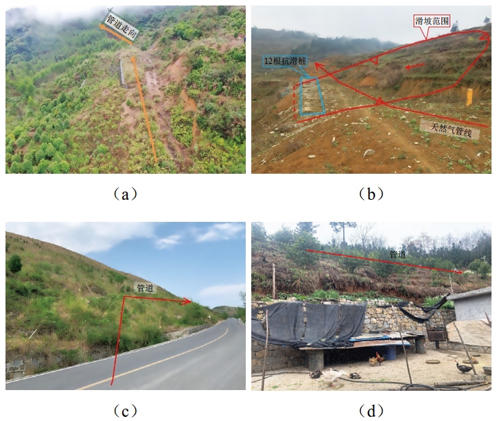 ɽ�^�ܵ��M�·��O�Ξĺ��L(f��ng)�U�ּ��ܿ،�(sh��)�`