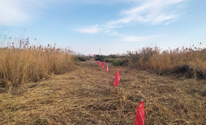 �������ʯ����Ȼ��ܵ����o���P(gu��n)�ڡ����o���x���͡����x����Ҏ��