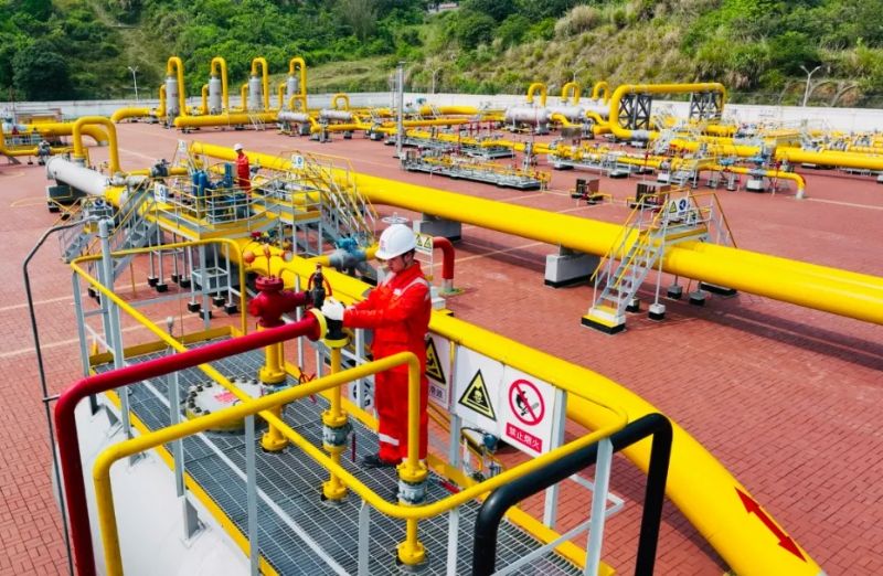 ������Ȼ��ܾW(w��ng)�L(ch��ng)��(l�� )���������M(j��n)��Ͷ�a(ch��n)