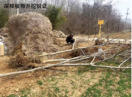 ���ֲ��ܵ�3PE�����ӵ�Ӱ푼��ּ��ܿ�̽ӑ