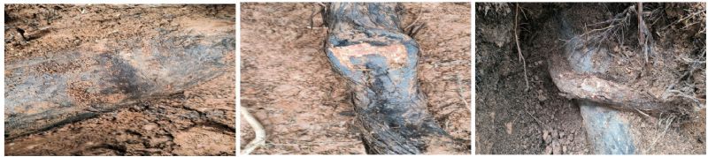 ֲ���ϵӰ��L(ch��ng)ݔ��Ȼ��ܵ���������{�����