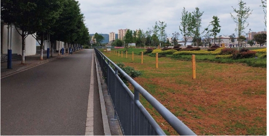 �ܵ�У�@�ߺ���^���o����