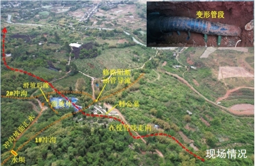 ���̔_��(d��ng)�T�l(f��)�����¹ܵ�׃�ΰ���